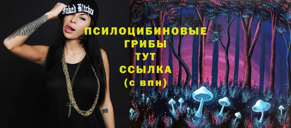 кокс Михайлов