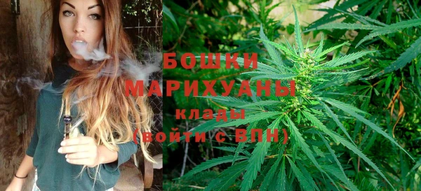 MDMA Новозыбков