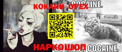 амф Дубна