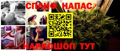 a pvp Донской