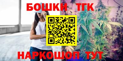 амф Дубна