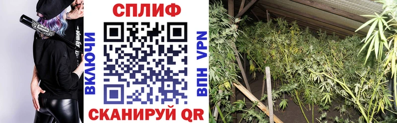MEGA маркетплейс  где купить наркоту  Сарапул  Бошки марихуана семена 